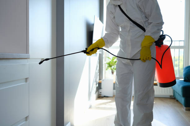 Best Health and Safety Mold Remediation in Elkhart Lake, WI